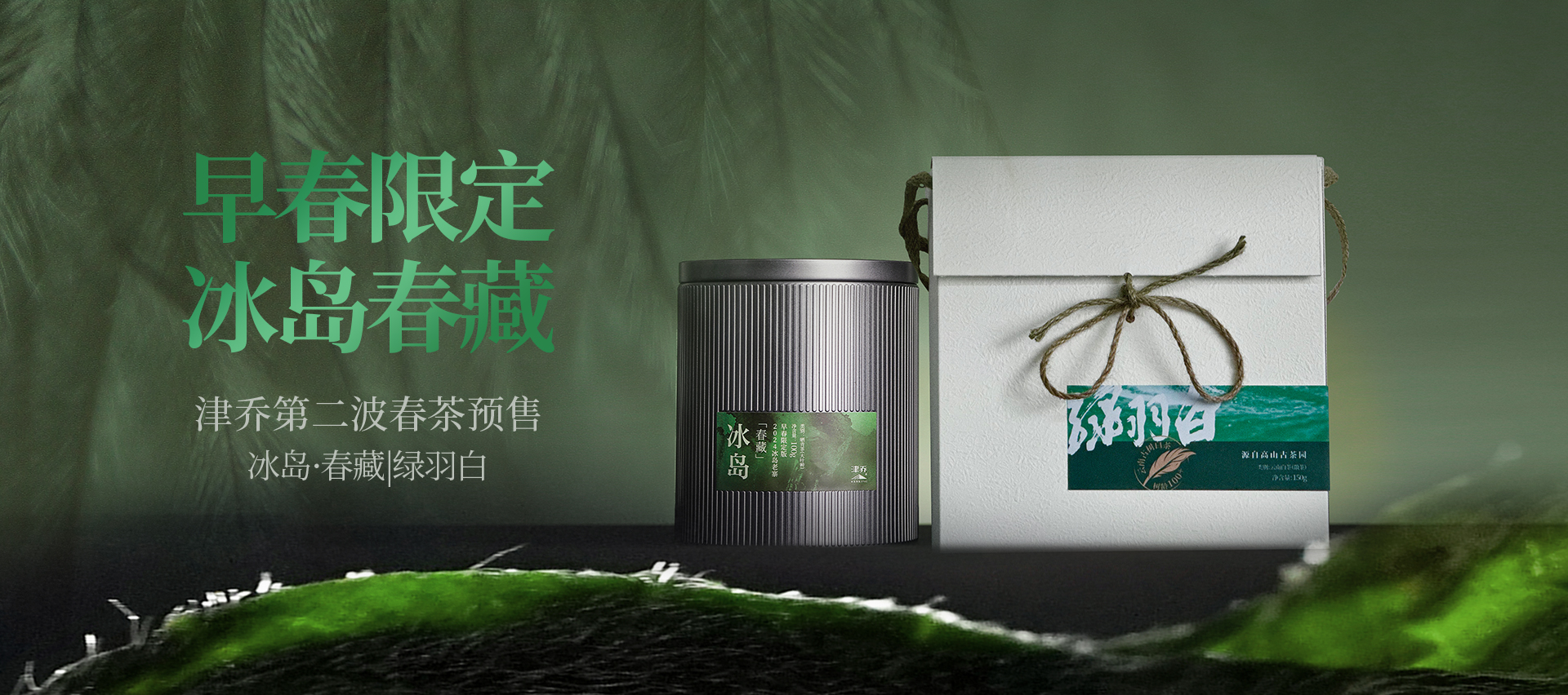 綠羽白